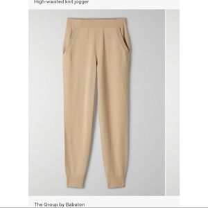 Aritzia Rodin Jogger (Group by Babaton)